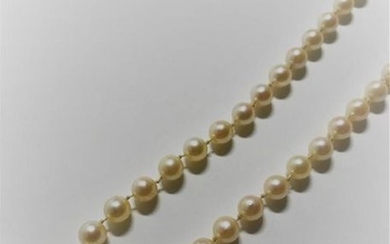 Falling cultured pearl necklace. Ratchet clasp in gold...