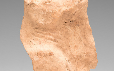 Horse head. Greece, IV-II century BC