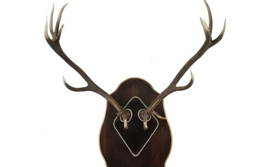 LARGE VINTAGE AUSTRIAN STAG ANTLERS WALL DECOR