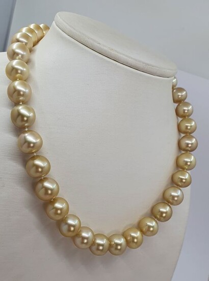 NO RESERVE - Large 12x13mm Golden South Sea Pearls - 14 kt. Gold - Necklace
