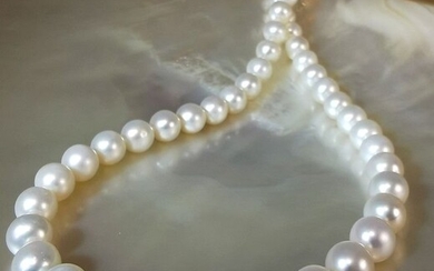 # NO RESERVE PRICE # - 925 Freshwater pearls, Silver, Perfect round 8,5x9,3 mm - Necklace