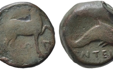 Northern Apulia, Salapia, c. 275-250 BC. Æ (18mm, 7.63g, 1h)....