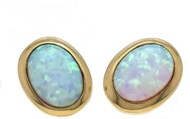 Opal stud earrings GG 585/000