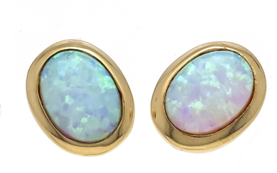 Opal stud earrings