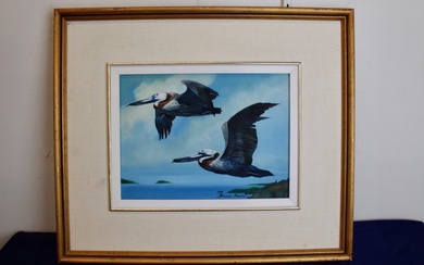 Painting of Two Pelicans by Bruce Muir