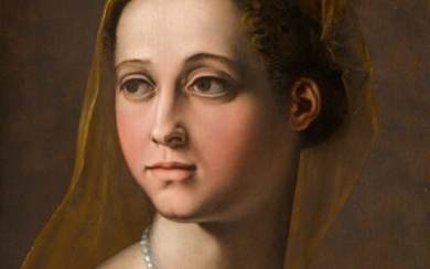 Portrait of a woman, head and shoulders |《女子肖像，頭與肩》