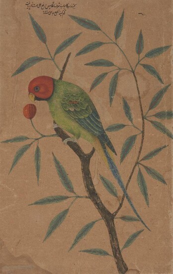 Property from an Important Private Collection A drawing of a parrot, 20th century, opaque pigments and watercolour on cardboard, 35.8 by 22.5cm. Note: With a later inscription signed Shaffih ‘Abbas and dated 1021 AH/1612 AD.
