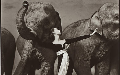 Richard Avedon, Dovima with elephants, Evening dress by Dior, Cirque d’Hiver, Paris, August, 1955
