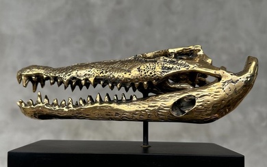 Saltwater Crocodile Skull - No Reserve Price - Polished Bronze Saltwater Crocodile on a Stand - Crocodylus porosus - 10 cm - 5 cm - 20 cm