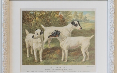 The Illustrated Book of the Dog [FRAMED SET OF PRINTS]