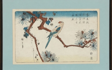Utagawa Hiroshige Macaw on pine branch, Japanese woodblock print in colours. Sign, Hiroshige hitzu. Seal. Kiwame. Framed