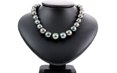 13.8mm-10.2mm Tahitian Pearl Necklace