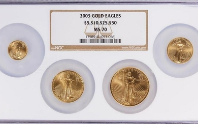 2004 American Eagle Gold MS70 Set