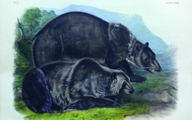 Audubon Quad Lithograph, Grizzly Bear