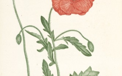 Jaume Saint-Hilaire | Plantes de la France, [1805]-1809, 4 volumes