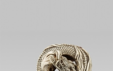 A very good large ivory netsuke of a dragon. Early 19th century