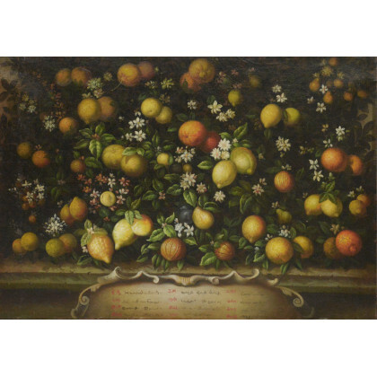 Ignoto del secolo XX, da Bartolomeo Bimbi "Composizione con frutta e fiori" olio su tela (cm 70x100) (difetti e restauri)