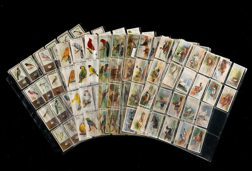 4 Sets Bird Cigarette Cards