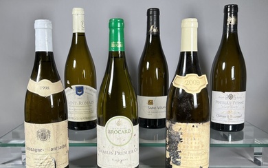 6 bouteilles dont : - 1 Domaine Borgeot Chassagne-Montrachet... - Lot 22 - Oger - Blanchet