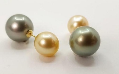 9.5x12mm Round Tahitian and Golden Pearls - 18 kt. Yellow gold - Earrings