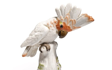A Meissen figure of a Cockatoo, 20th century