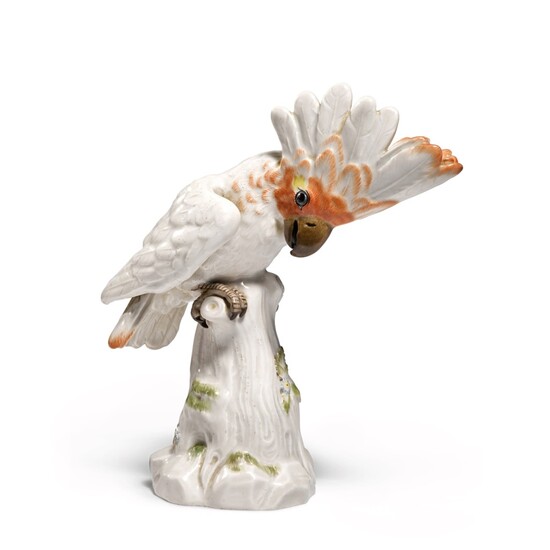 A Meissen figure of a Cockatoo, 20th century