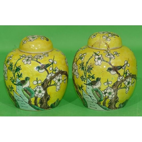 A Pair of Chinese Round Bulbous Shaped Ginger Jars with cove...