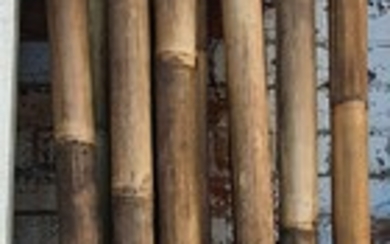 A QUANTITY OF BAMBOO