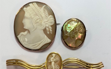 A trio of shell cameo brooches