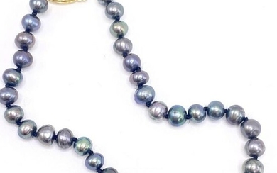 Black Pearl & 14k Gold Pearl Bracelet