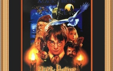 Harry Potter and the Sorcerers Stone Custom Framed Mini Movie Poster