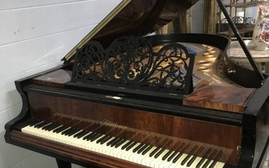 J Bluthner Black Lacquer Player Grand Piano 6