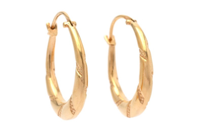 Jewellery Earrings EARRINGS, 9K gold, height 25,0 mm, weight 4...
