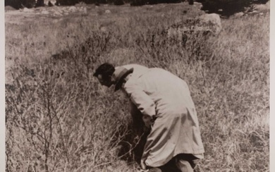 Joseph Beuys (1921 Krefeld - Düsseldorf 1986)