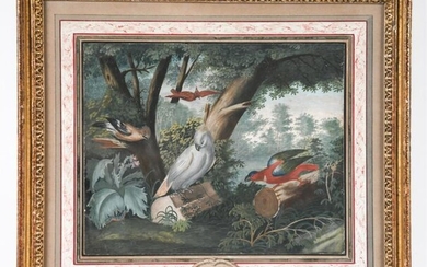 LATE 17TH/EARLY 18TH C. OLD MASTER GOUACHE BIRDS
