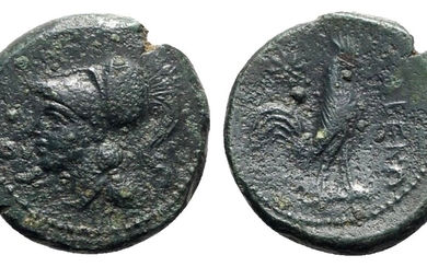 Northern Campania, Cales, c. 265-240 BC. Æ (20mm, 5.49g, 9h)....