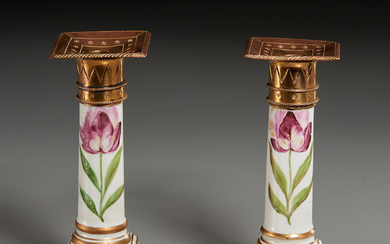 Pair Derby Brass-Mounted Botanical Candlesticks