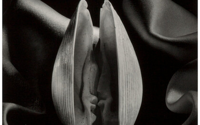 Ruth Bernhard (1905-2006), Shell in Silk (1939)