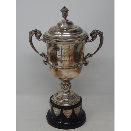 Silver Trophy Cup & Lid on Stand: Hallmarked London 1923 by ...