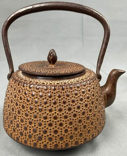 Teapot. Cast iron. China antique? Japan?