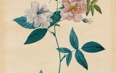 Three floral images around 180