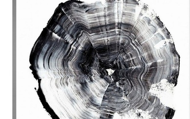 "Tree Ring Abstract I" Canvas Reproduction by Ethan Harper