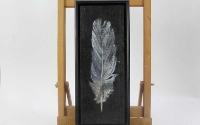 Val Archer (b.1946) oil on paper laid on board - Owl Feather, initialled, framed, 35cm x 13cm Provenance: Chris Beetles Ltd. London