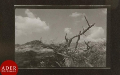 Josef Sudek (1896 1976) La forêt de Mionsi, 1962. …