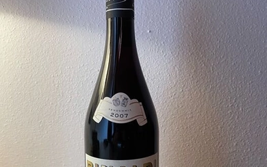 2007 Giuseppe Rinaldi Brunate - Le Coste - Barolo, Piedmont DOCG - 1 Bottle (0.75L)