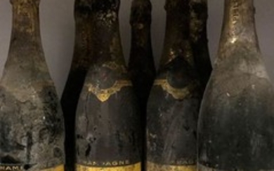 10 bouteilles CHAMPAGNE André Drappier (vieux;…