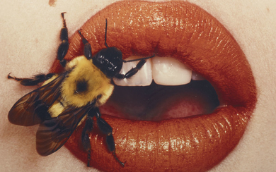 IRVING PENN (1917-2009), Bee (A), New York, 1995