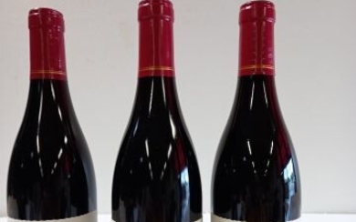 3 bouteilles de Pommard. 2017. Grand vin... - Lot 23 - Enchères Maisons-Laffitte