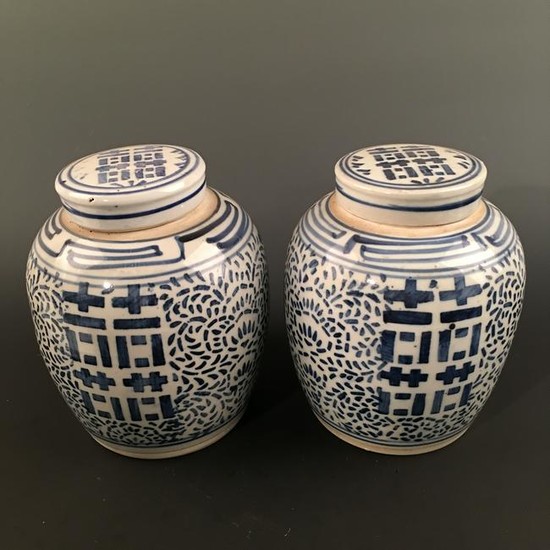 A Pair of Chinese Blue-White Jar and Cover