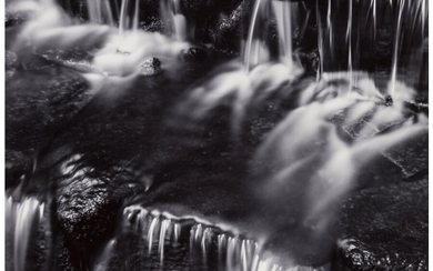 Ansel Adams (1902-1984), Fern Spring Dusk, Yosemite Valley, California (circa 1961)